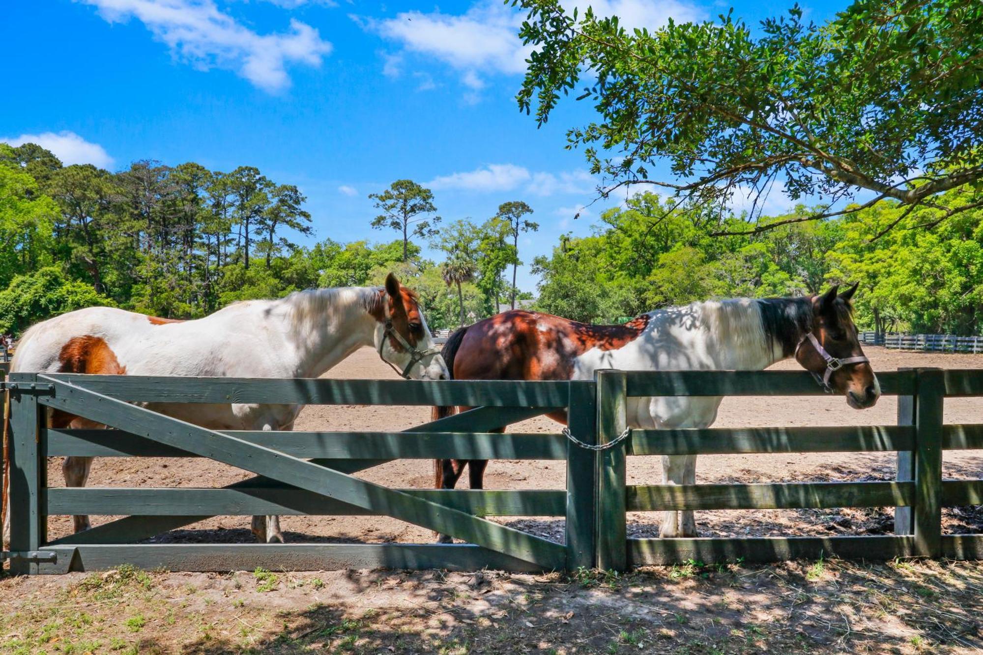 30 Ruddy Turnstone | Ruddy Retreat Villa Hilton Head Island Bagian luar foto